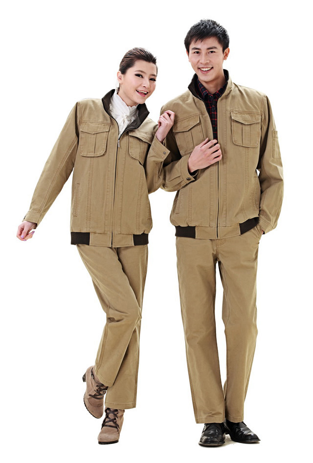 DS-906�p�ӊA��